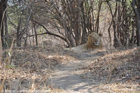 South Lwangwe National Park