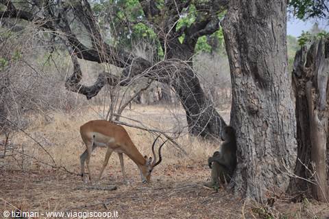South Lwangwe National Park