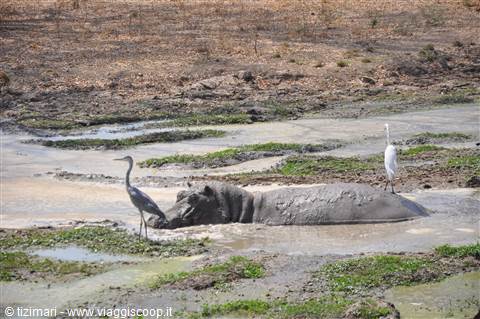 South Lwangwe National Park