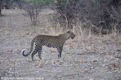 South Lwangwe National Park