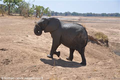 South Lwangwe National Park