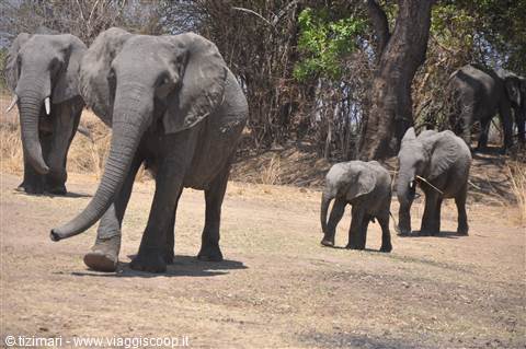 South Lwangwe National Park