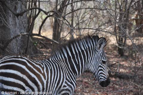 South Lwangwe National Park
