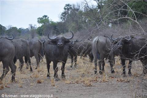 South Lwangwe National Park