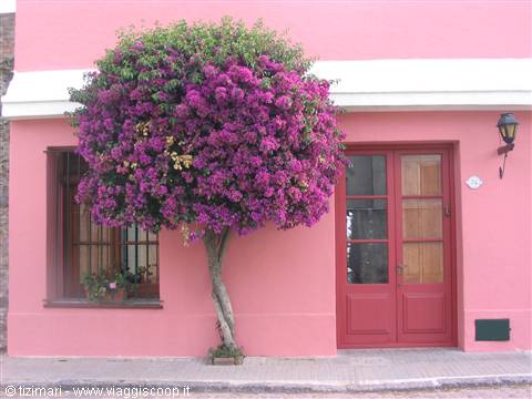 Colonia Sacramento