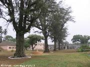 Sundy quintal