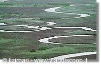 Delta dell'Okawango