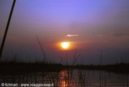 okawango