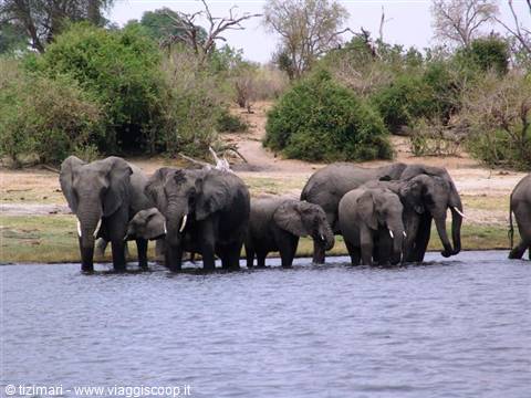 Chobe