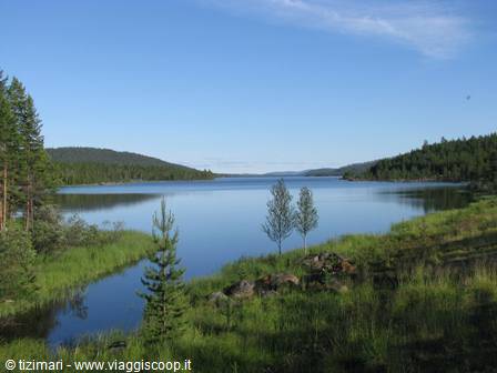 Lapponia