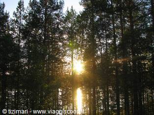 Lapponia, verso Rovaniemi