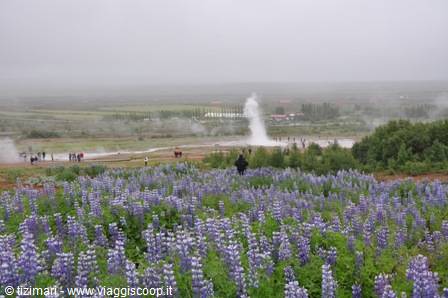 Geyser Strokkur