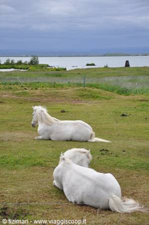 Myvatn