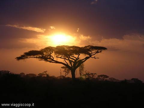 Un tramonto nel parco Amboseli