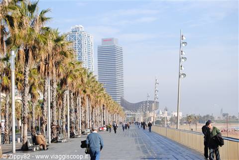 Barceloneta