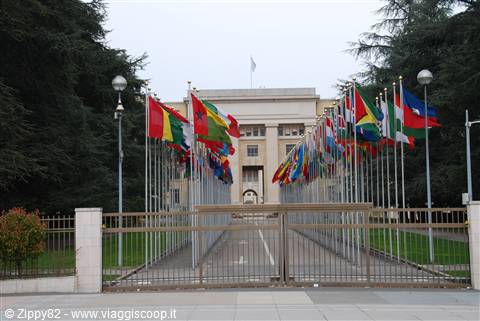 Il palazzo delle nazioni unite