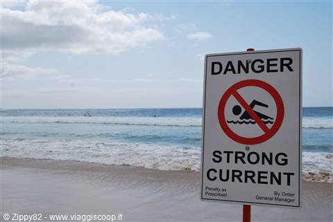 Manly beach