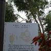 Tracce del mitico The Ghan AUSTRALIA 