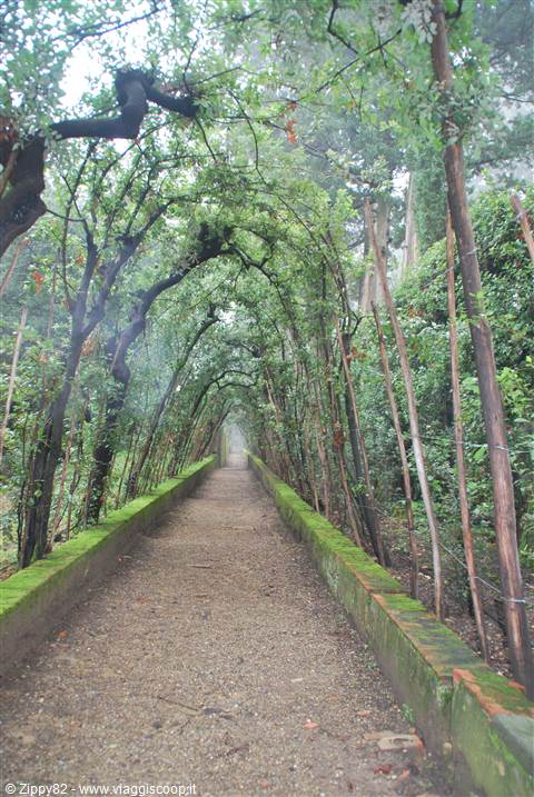 I giardini dei Boboli