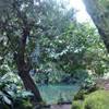 Angoli nascosti del giardino all'inglese ITALIA 
