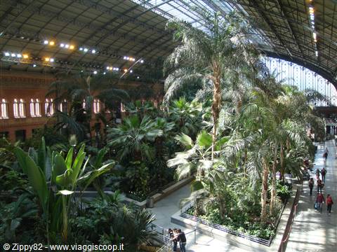 Il giardino tropicale all'interno della Estacion de Atocha