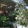 Il giardino tropicale all'interno della Estacion  de Atocha SPAGNA 