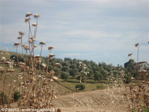 Spettacolari scorci della campagna toscana