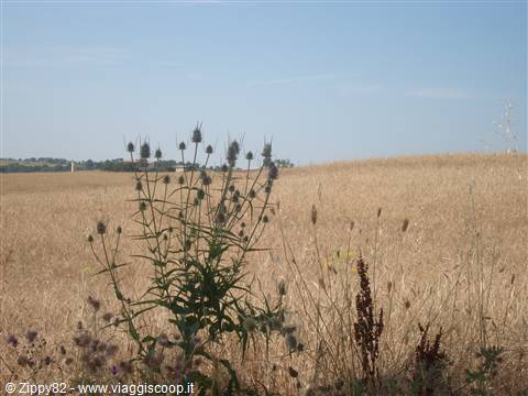 Spettacolari scorci della campagna toscana