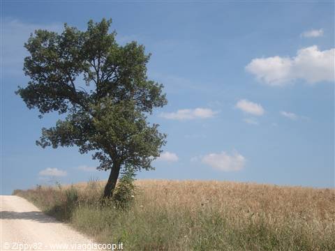Spettacolari scorci della campagna toscana