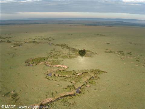 Masai Mara in Mongolfiera