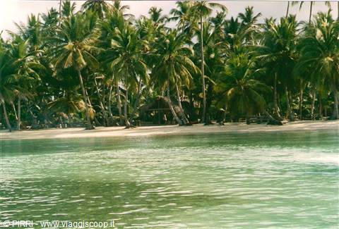SAONA
