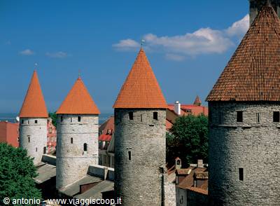 Tallin