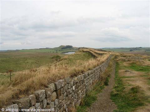 adrian wall