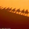 ombre nel deserto MAROCCO 