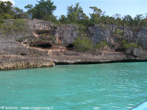 verso saona