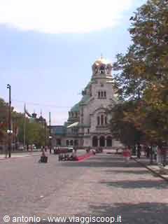 sofia
