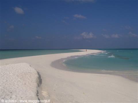 Kuramathi,sandbank