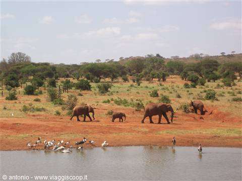 Tsavo Est