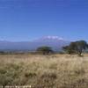 Kilimangiaro(Tanzania) del Kenya TANZANIA 