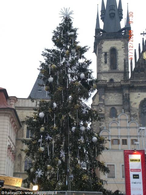 l'albero di natale