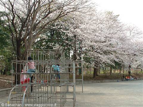 bimbi nel parco
