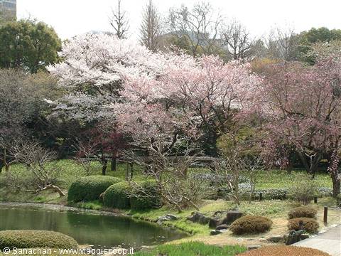 giardino imperiale