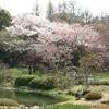 giardino imperiale GIAPPONE 