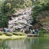 giardino imperiale GIAPPONE 