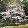 giardino imperiale GIAPPONE 