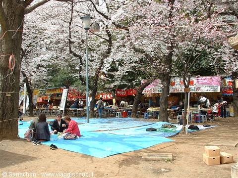 picnic a ueno