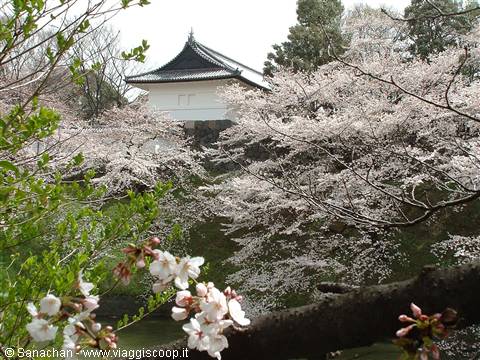 imperial palace 