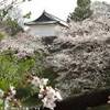 imperial palace  GIAPPONE 