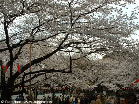 ueno