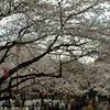 ueno GIAPPONE 